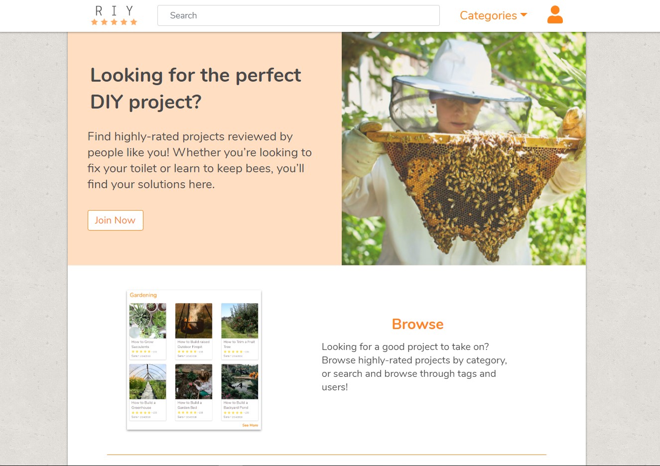 individual project